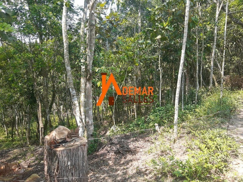 Imagem 17 de 30 de Chacara - Ch00095 - 68699428
