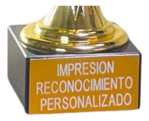 Trofeo Copa Personalizado Eurocup 30 Cms My20