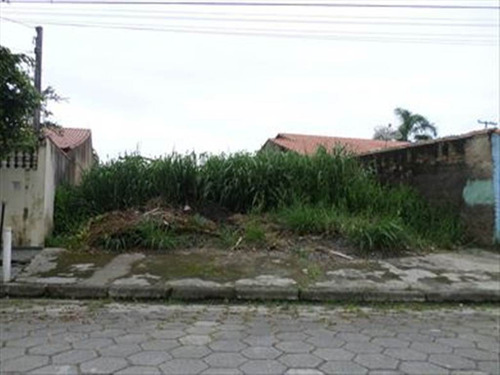 Imagem 1 de 2 de Terreno - Venda - Campos Eliseos - Itanhaem - Ita1649