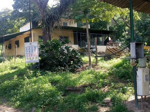 Imagen 9 de 18 de Finca Agricola