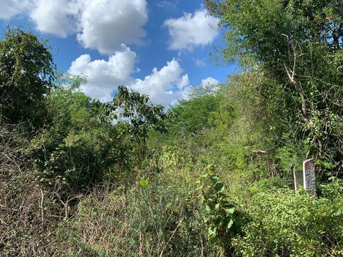 Imagen 8 de 8 de Lote De Terreno En Temozón Norte - Zona Norte De Merida