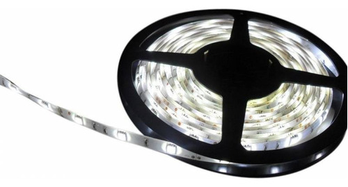 Tira Led Blanco Frio Smd 3014 120 Led X Metro Ph Ventas