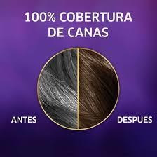 Tinte Koleston Retoque Raíz 10 Min Tono 50 Castaño Claro