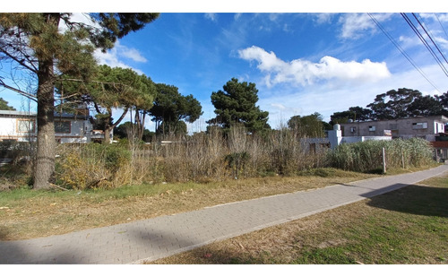 Venta Lote Multifamiliar Victor Hugo Ostende