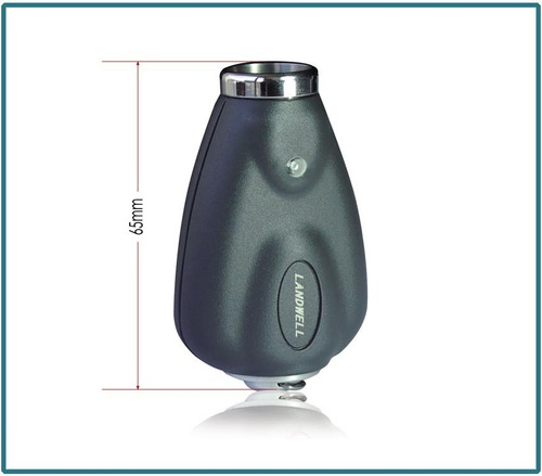 Control De Rondas Landwell Para Oficiales De Seguridad
