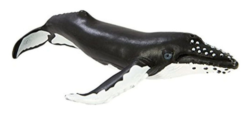 Safari Ltd Wild Sea Life  Ballena Jorobada  Modelo De Est