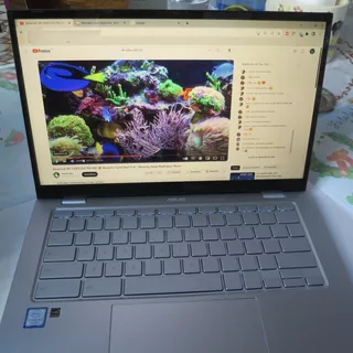 Asus Chromebook C425t 8g 64gb Intel M3-8100y - 14 Táctil