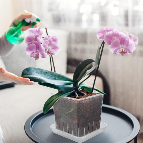 Jk Maceta For Orquídeas, Paquete De 5 Macetas De 5 Pulgadas