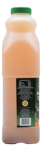 Bebida De Sábila Cuachalalate Nopal 1 L Flor De Aloe Sin Sabor