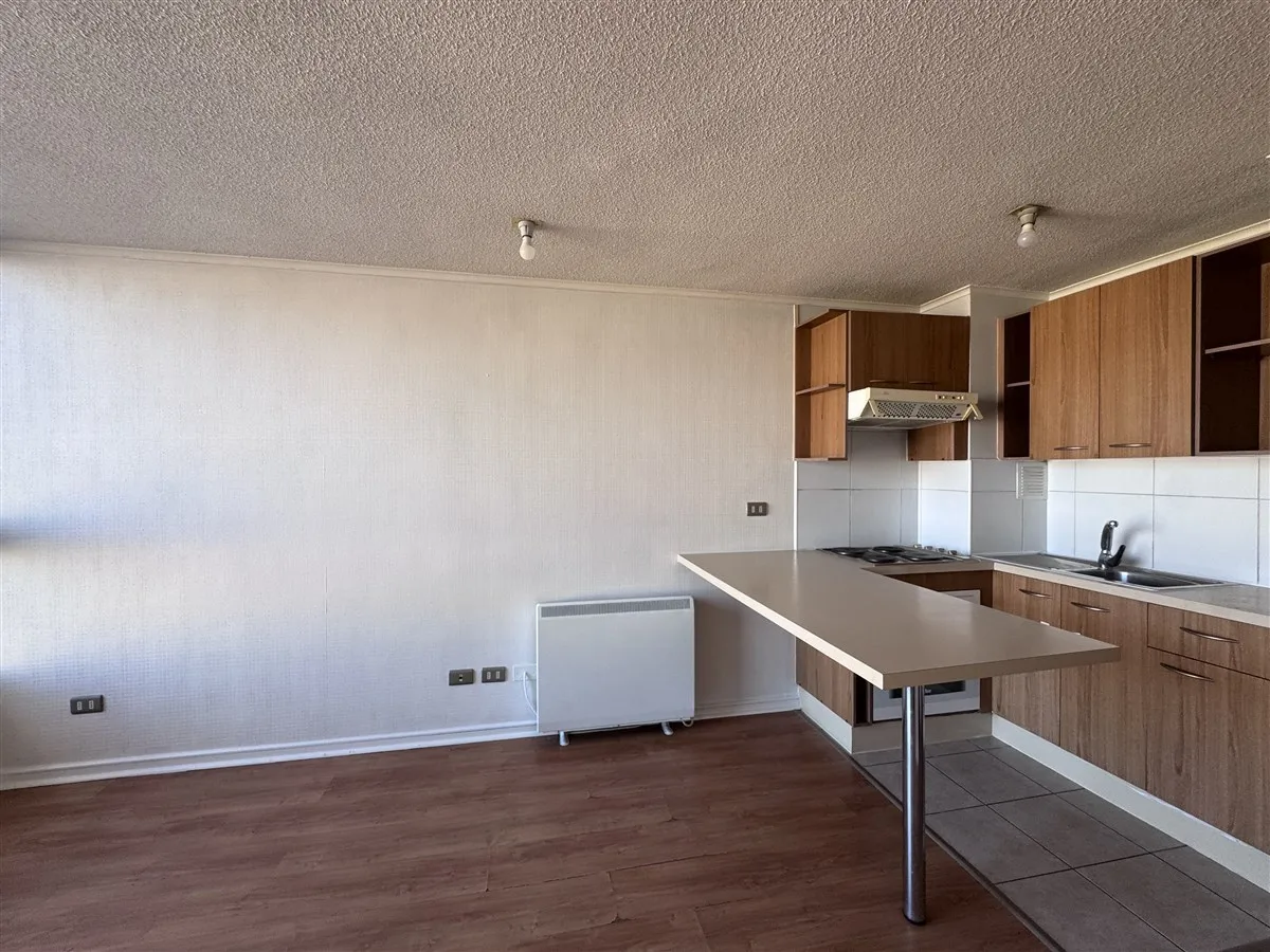 Imagen 3 de 14 de Departamento En Arriendo De 1 Dorm. En Santiago