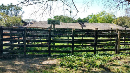 Vendo Rancho Ganadero 223 Hectáreas Temapache Veracruz