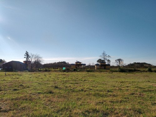 Imagen 4 de 6 de Lote - Río Paranacito