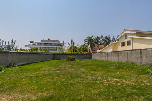 Imagem 1 de 9 de Terreno-à Venda-barra Da Tijuca-rio De Janeiro - 80049