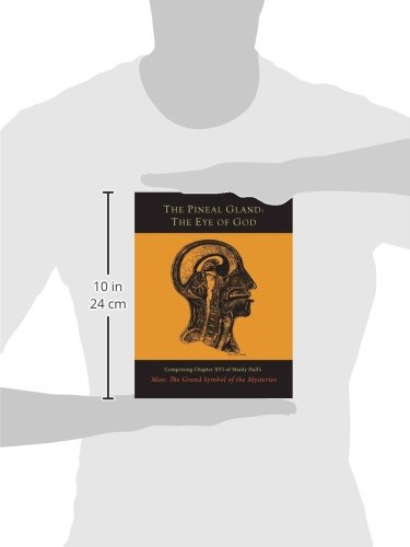 A Glândula Pineal: O Olho De Deus