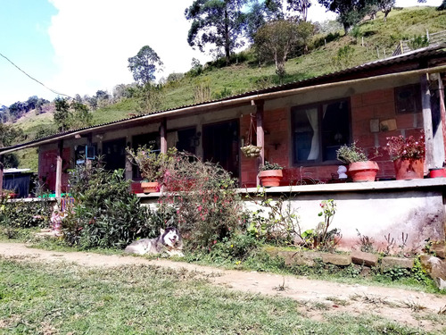 Se Vende Finca Génova Quindío 