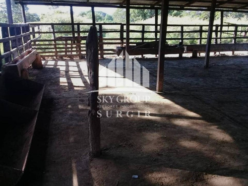 Imagen 6 de 8 de Se Vende Finca En Yaracal Falcon