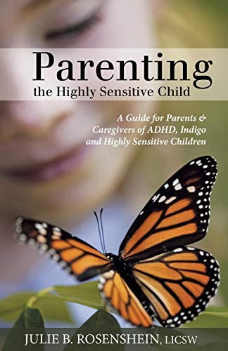 Parenting The Highly Sensitive Child, De Julie B Rosenshein. Editorial Balboa Press, Tapa Blanda En Inglés