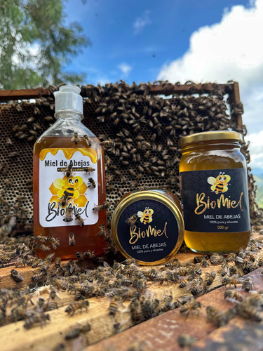 Miel De Abejas 100%. Pura Y Natural - Kg a $34