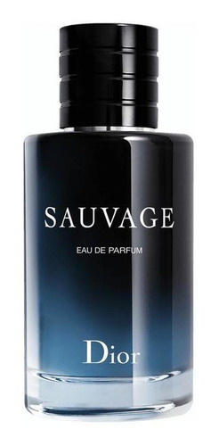 Sauvage Dior Perfume Masculino Eau De Parfum 100ml