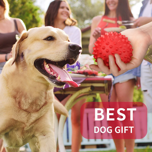 Dog Squeaky Toy Apasiri, Versión Mejorada Para Perros Grande