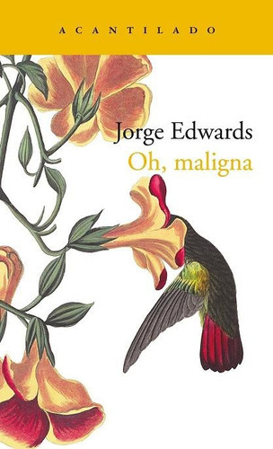 Oh, Maligna, De Edwards, Jorge., Vol. Unico. Editorial Acantilado, Tapa Blanda En Español