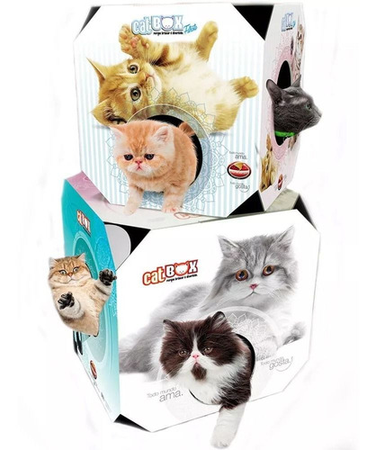 Brinquedo Cat Box Filhotes Caixa De Brincar - Furacão Pet
