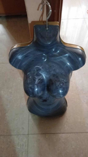Imagen 2 de 3 de Pechera Exhibidora Medio Cuerpo
