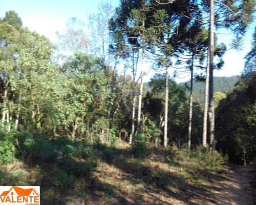Imagem 5 de 8 de Chacara - Ch00024 - 69487829