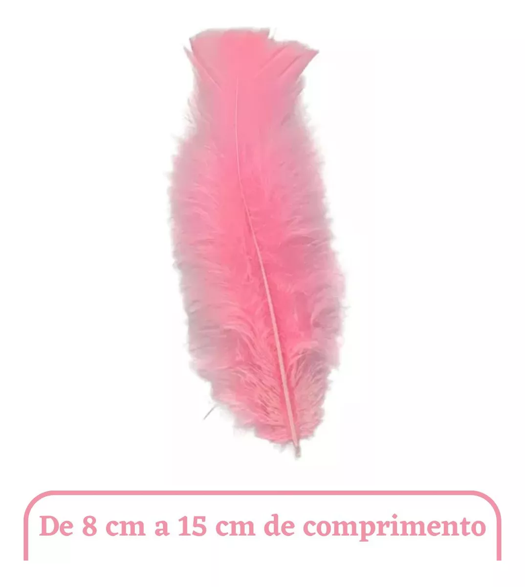 Segunda imagem para pesquisa de plumas brancas