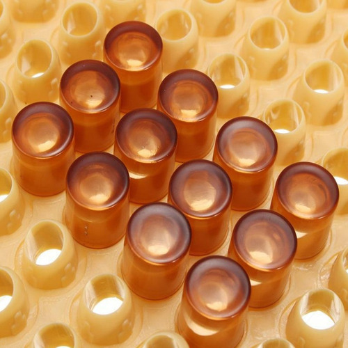 Imagen 6 de 6 de Kit De Equipo Apicultura Caja Jaula De Abeja Reina Casa De
