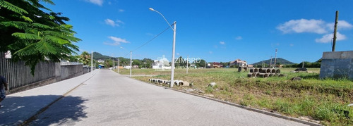 Imagem 16 de 25 de Terrenos A Venda Em Loteamento Diferenciado No Bairro São José Em Santa Maria - 1013