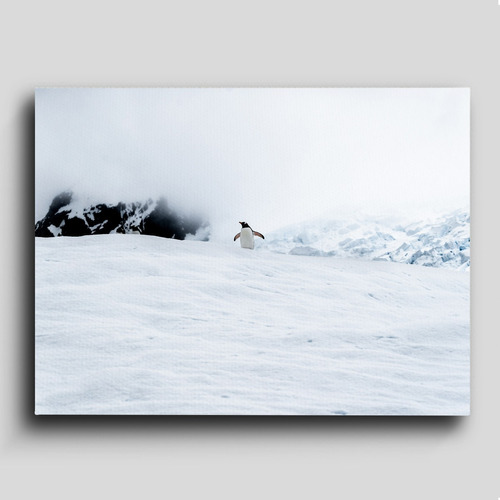 Cuadro Decorativo Canvas Arte Nieve Pingüino Montaña 80*120