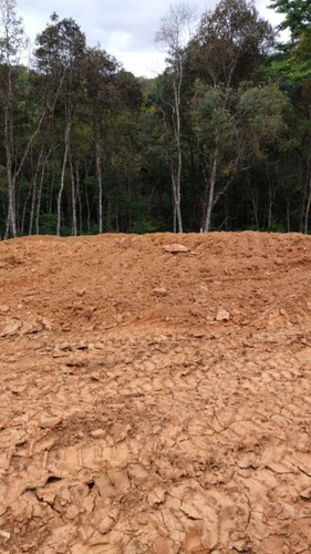 Imagem 10 de 15 de Terreno Em Condomínio Para Venda Em Curitiba, Santa Cândida - 338_2-1090136