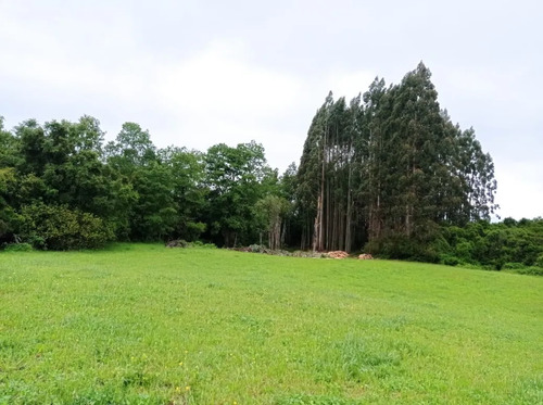 Venta Hermosa Parcela En Sector Rofuco Alto, La Unión
