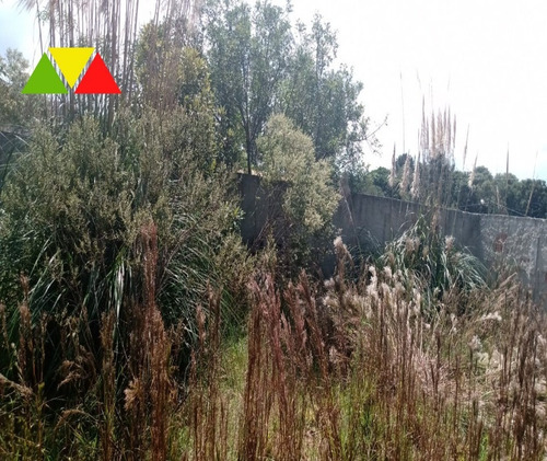 Imagem 2 de 3 de Terreno - Te00182 - 69798655