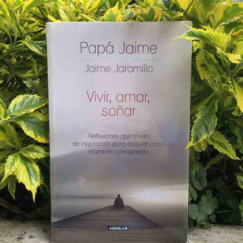 Libro Vivir, Amar, Soñar