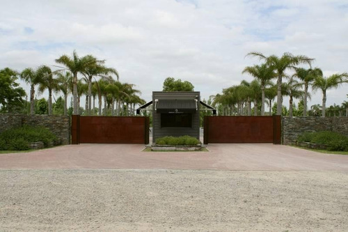 Imagen 2 de 29 de Oportunidad Venta De Amplio Lote En La Mejor Zona De Polo - Caspian Polo Chacras