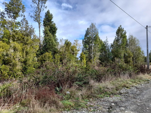 Parcela En Venta - Lomas De Monte Verde