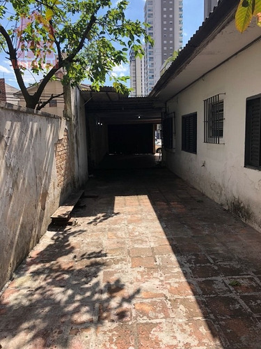 Imagem 15 de 22 de Terreno Para Venda, 0.0 M2, Vila Monte Alegre - São Paulo - 977