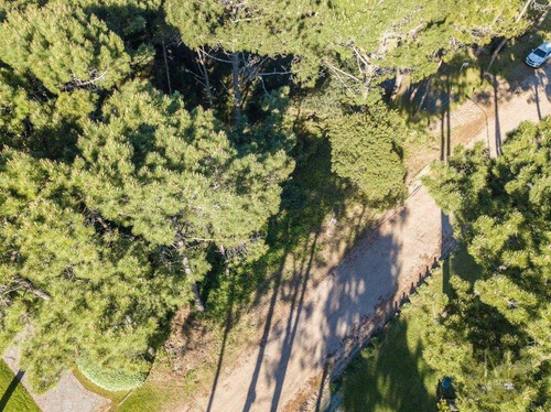 Imagen 5 de 10 de Lote En Venta - Pinamar Norte