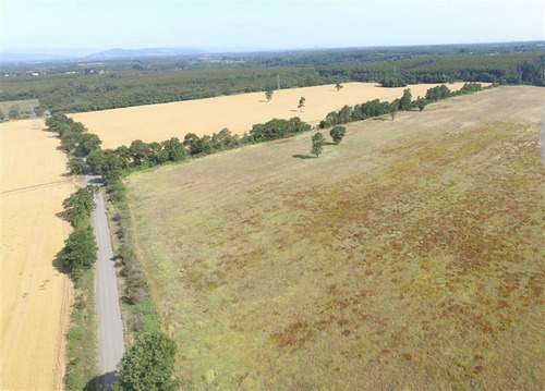 Imagen 15 de 15 de Agrícola En Venta En Ercilla