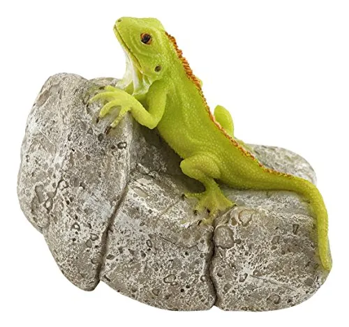 comprar Top Collection Miniature Fairy Garden Y Terrario Iguana En R