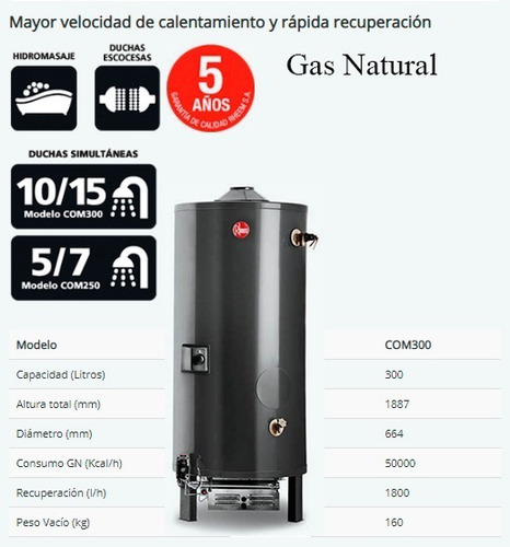 Imagen 2 de 4 de Termotanque Rheem Gn Comercial 300lt Rhctp300n