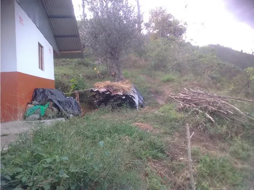 Se Vende Finca En Pijao Quindío