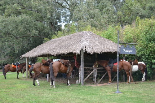 Casa Quinta / Casco De Estancia En Alquiler