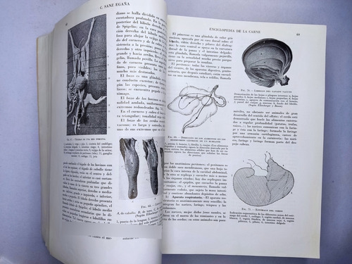 Libro Enciclopedia De La Carne Sanz Egaña 195c5 (Usado)
