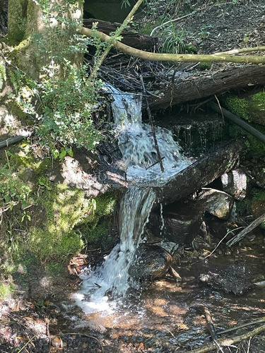 Campo 5 Ha En Venta En Curacautín A Orilla De Carretera