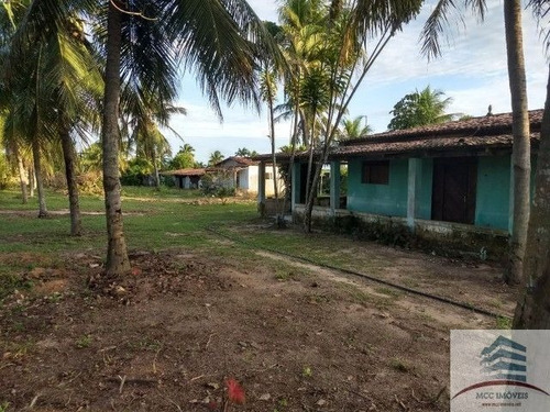 Imagem 2 de 10 de Granja A Venda Em Macaíba