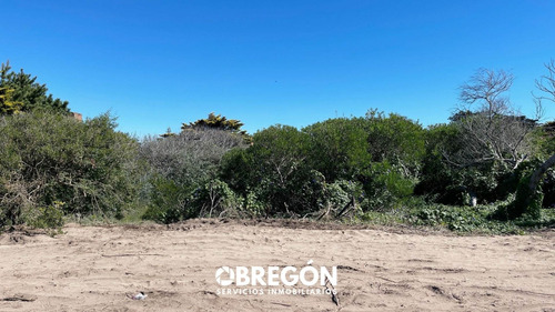 Imagen 11 de 13 de Lote En Venta Frente Al Mar En Pinamar En Oportunidad