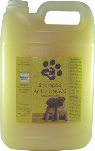 Shampoo Antihongos Galon  Envio Gratis 